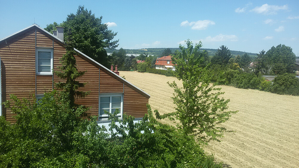 Blick aus meinem Fenster