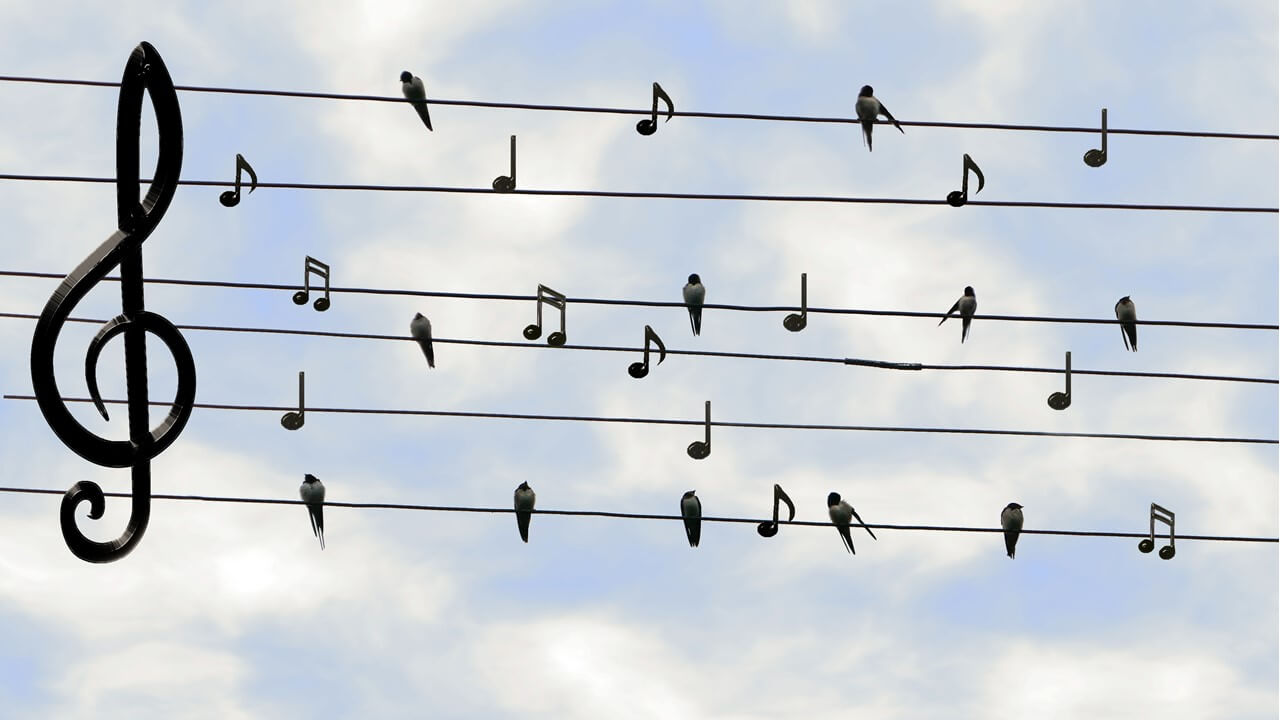 Note Note