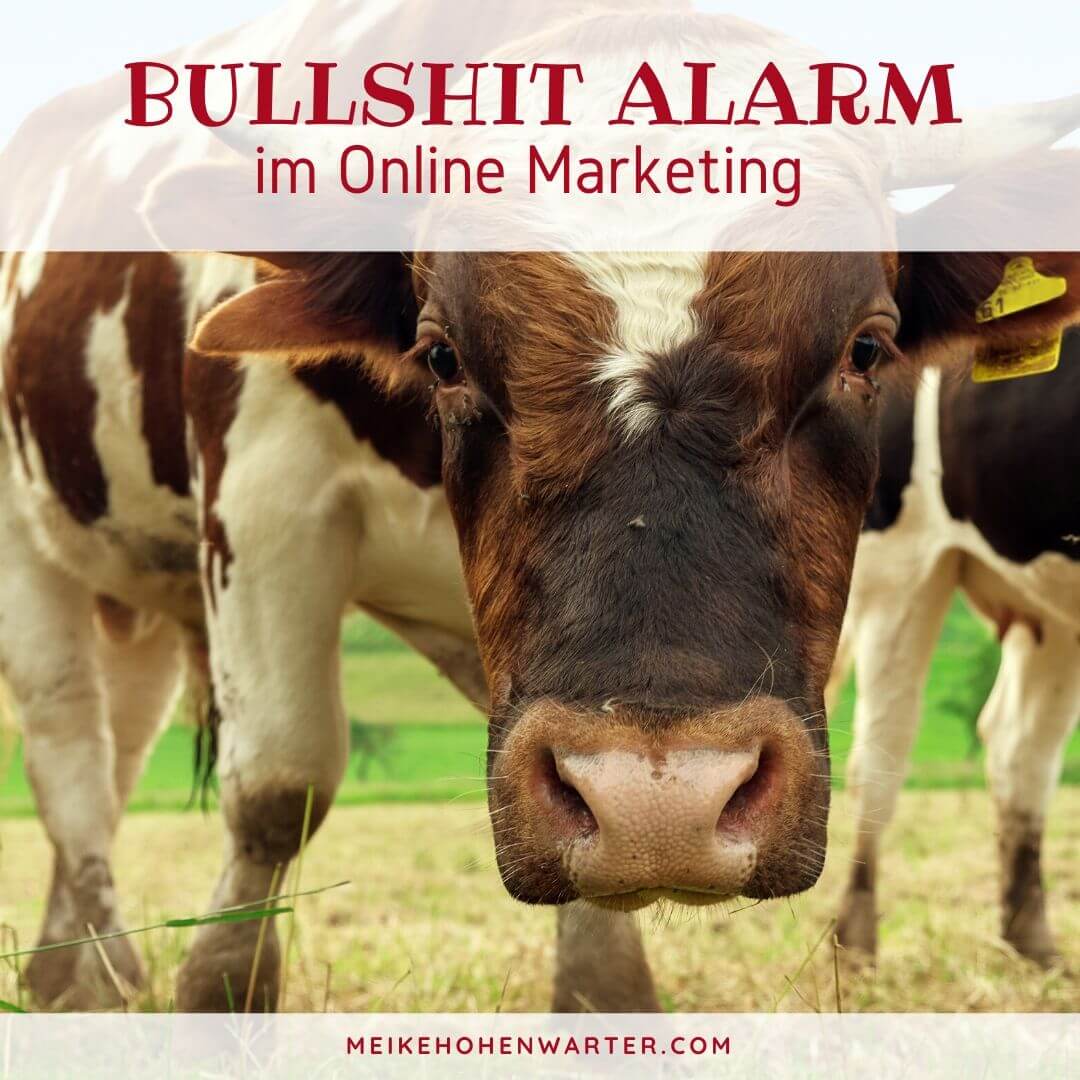 BULLCHIT ALARM IM ONLINE MARKETING