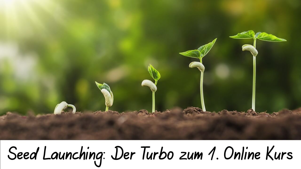 Bonus Seedlaunch Bonus Seedlaunch