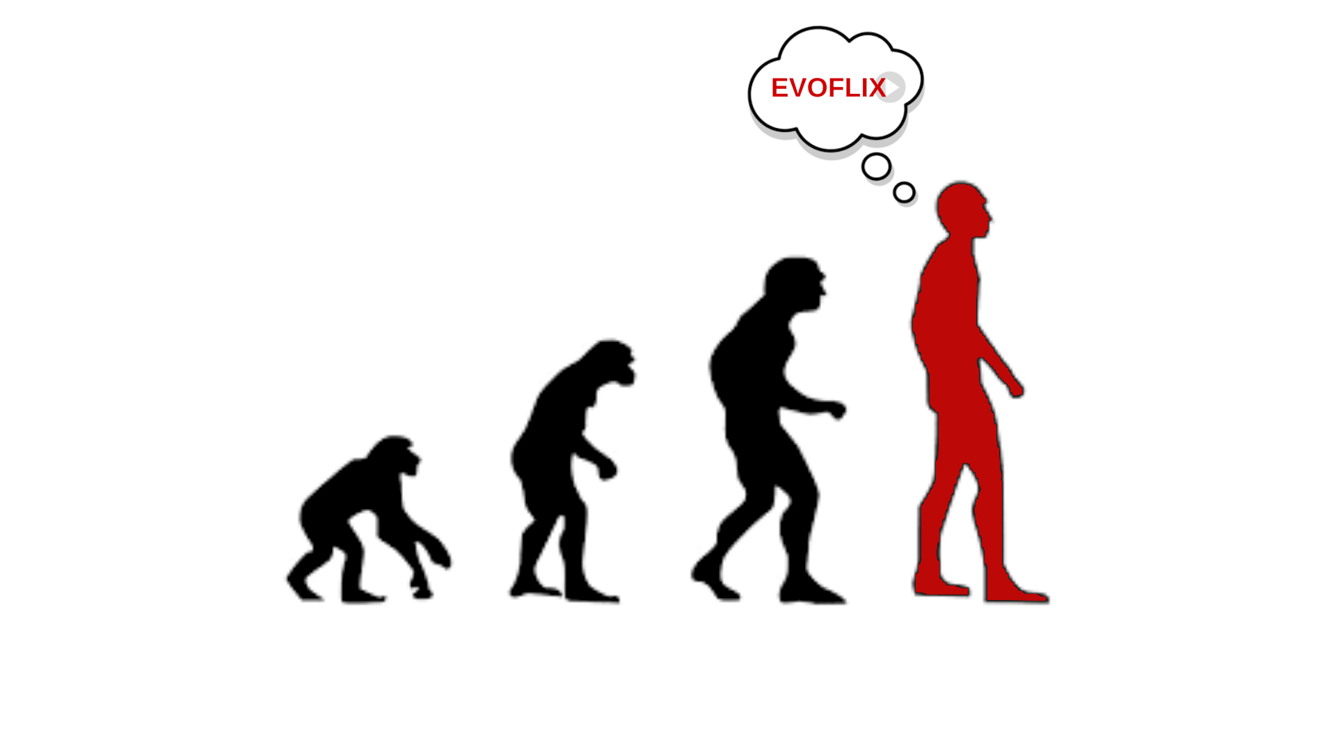 Evolution