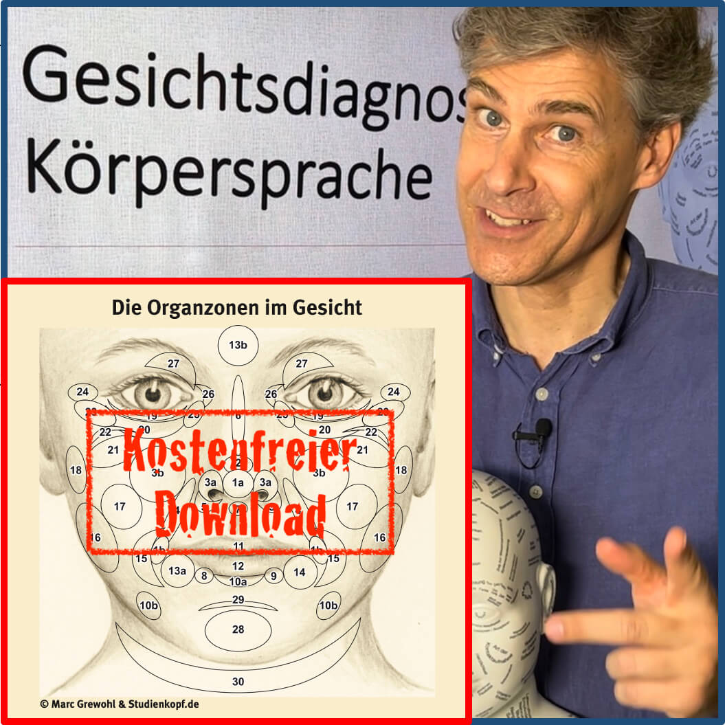 Thumbnail_30_Organzonen_MarcGrewohl_230903 - Marc Grewohl