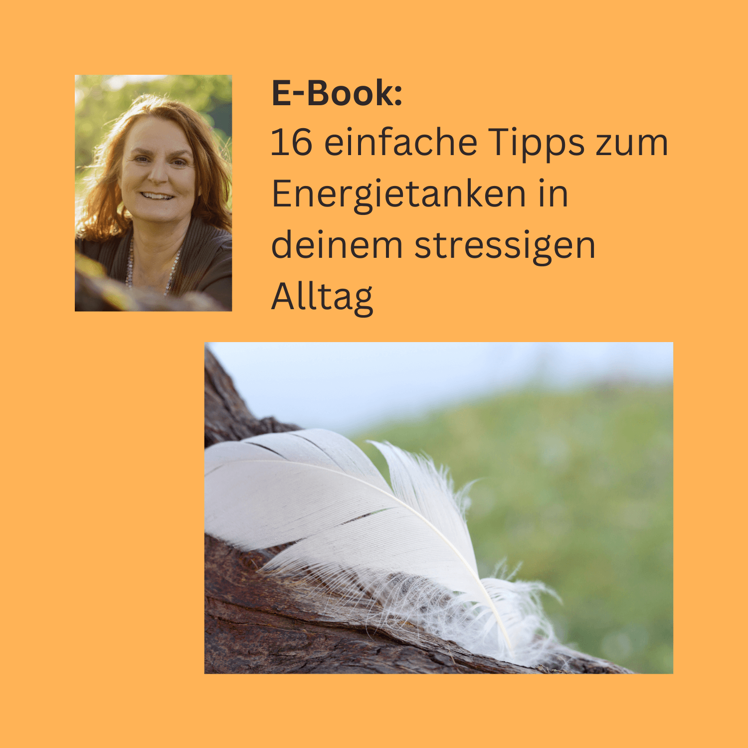 Thumbnail Webinar Freebieparade (1) - Sabine Wien