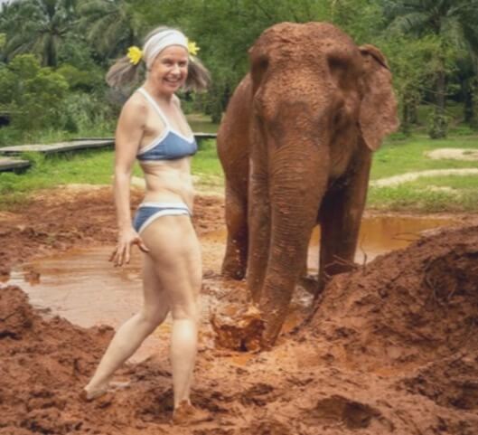 Elefantenbild - karin lochner