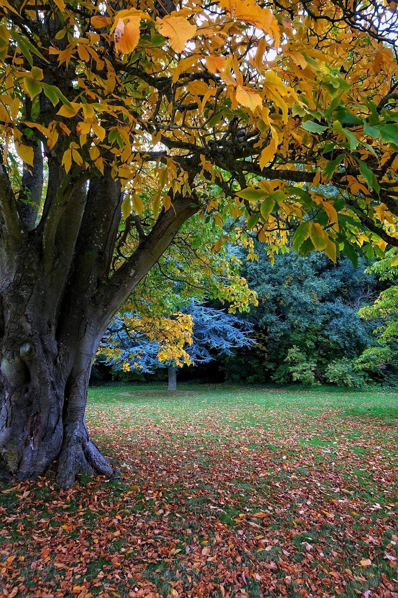 IMG_0241 - Monika inGenesung