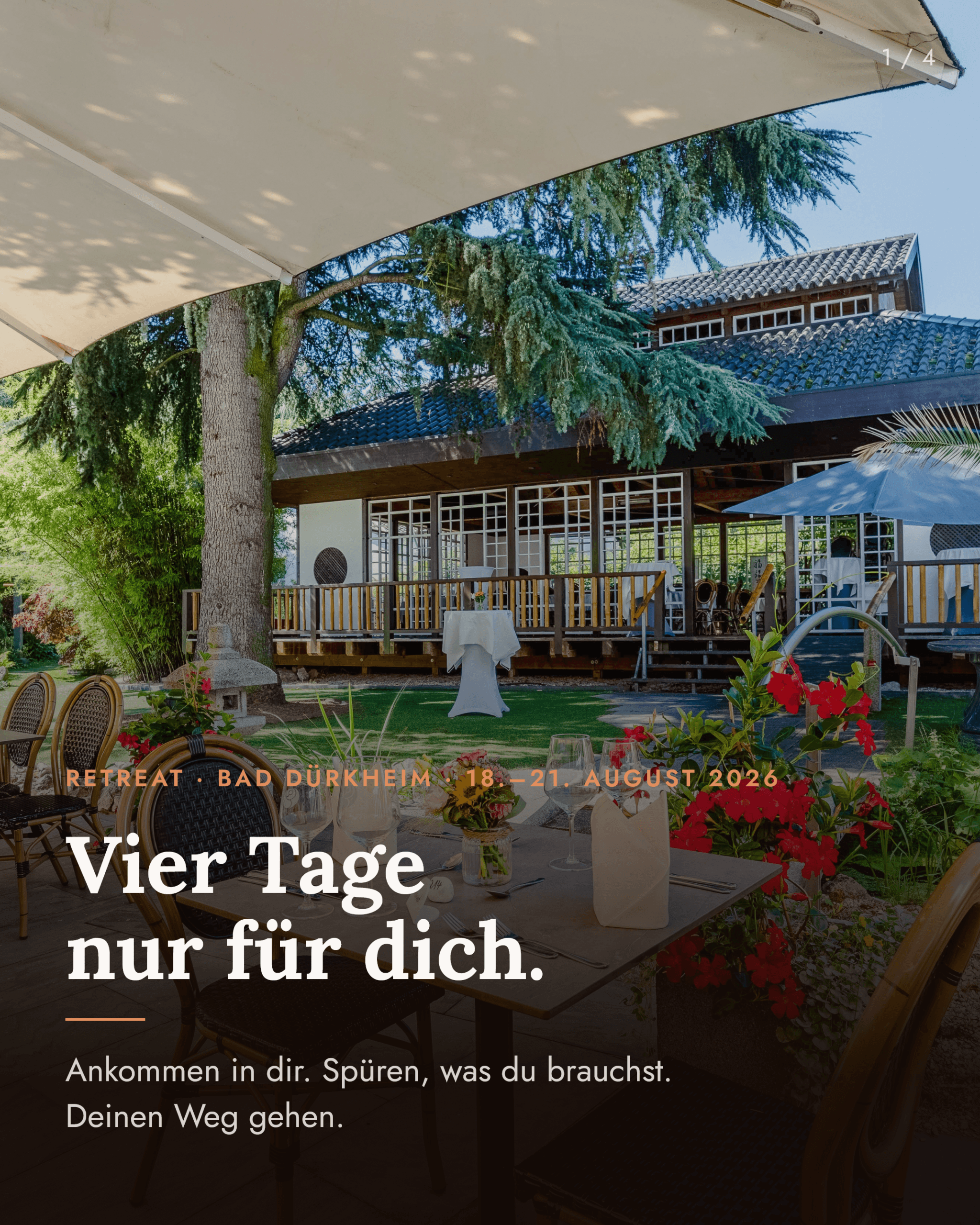 UMAMI_Slide_1 - Renate Köchling-Dietrich
